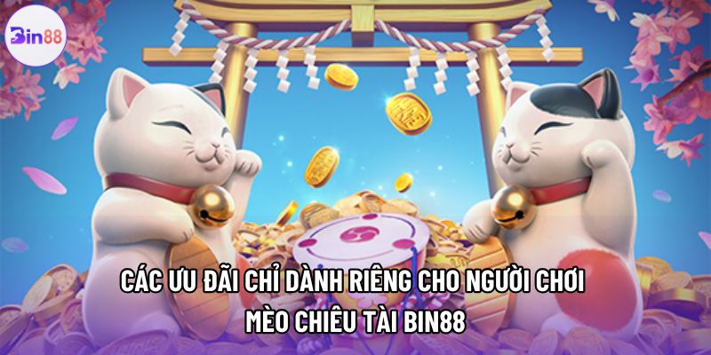 Các ưu đãi chỉ dành riêng cho người chơi mèo chiêu tài bin88