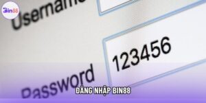 Đăng Nhập Bin88 Và Quy Trình Truy Cập Hệ Thống Năm 2026