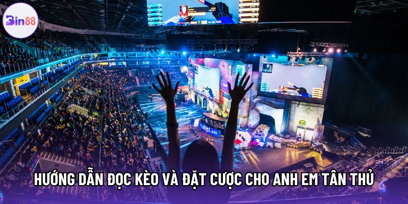 Hướng dẫn đọc kèo và đặt cược cho anh em tân thủ